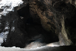 Manganese
