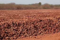 Daban – Wamoti